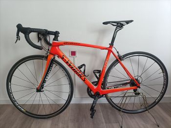 Used Specialized Tarmac SRAM Force 2011 Road & Gravel, Orange — image 2 of 11