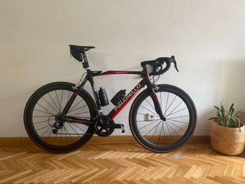 Used Pinarello Pinarello Custom Shimano Ultegra 2013 Road & Gravel — image 2 of 8