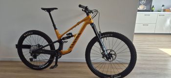 Canyon, Spectral CF 8 CLLCTV 2025