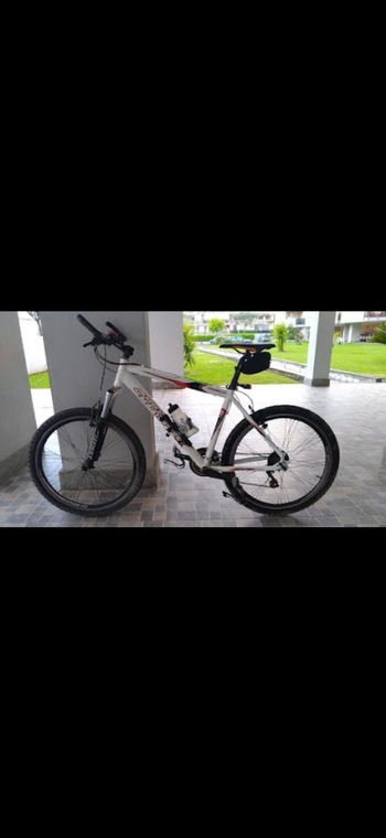 Olympia, Olympia Custom Shimano Alivio