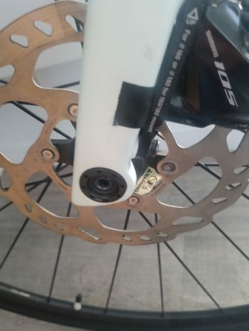 Lapierre, Pulsium SAT 5.0 Women 2021