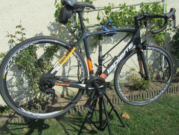 Lapierre, Lapierre Sensium 500 Année 2019