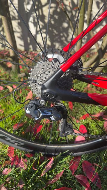 Gebrauchtes Simplon Pride I 2020 2020 Road & Gravel, Rot — Bild 3 von 5