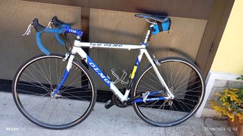 Olmo, Olmo Custom Campagnolo Record