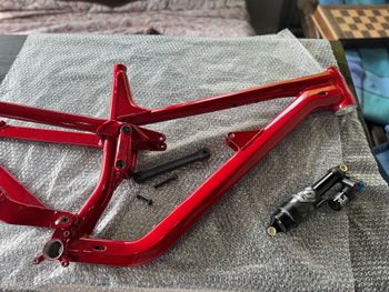 Canyon, Torque 29 AL 5 2023 Frameset