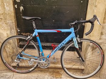 Wilier, Willier Team Replica