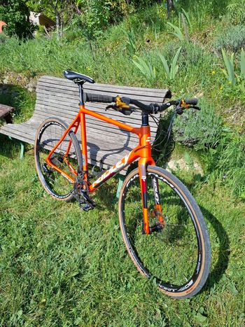 Ridley, X-Night Disc - 105 ML 2019