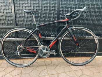 Wilier, Gtr Shimano Ultegra