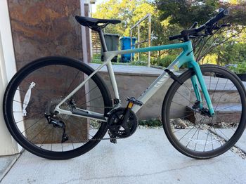Canyon, Roadlite CF 8 2024