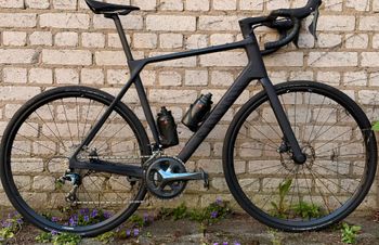 Canyon, Endurace CF 6 2024