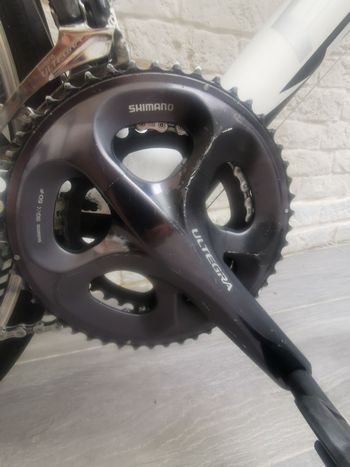 Used Pinarello Fpdue 2011 Road & Gravel — image 3 of 8
