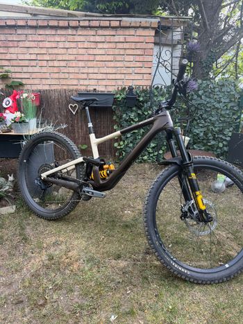 Used Specialized Enduro LTD 2023 2023 MTB