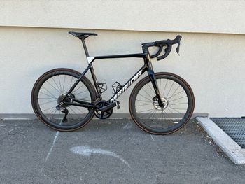 Merida, SCULTURA 8000 2024