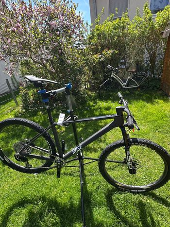 Rose, PDQ 4 2025 Frameset