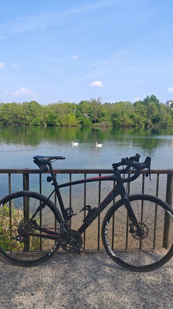 Specialized, Roubaix SL4 Sport SRAM Disc 2014