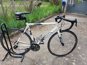 Used Giant Giant Vélo De Route 2006 Road & Gravel