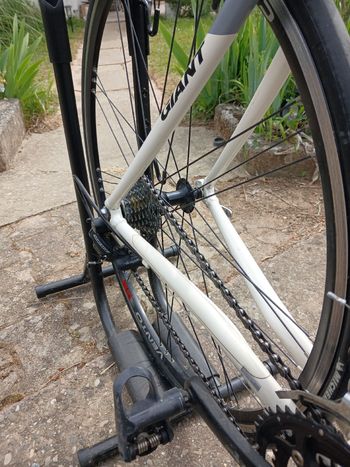 Used Giant Giant Vélo De Route 2006 Road & Gravel, White — image 6 of 6