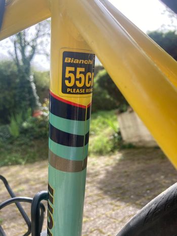 Used Bianchi Reparto Corse Alloy Pro 2000 Road & Gravel, Verde — image 9 of 13