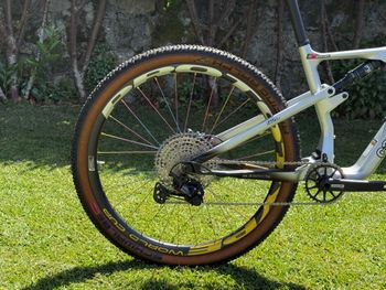 Used Cannondale Scalpel Shimano Deore XT 2026 Mountainbike, Gris claro — image 3 of 22