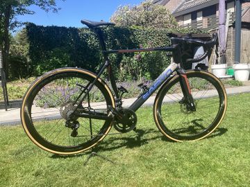 Used Sarto Raso 2024 Road & Gravel