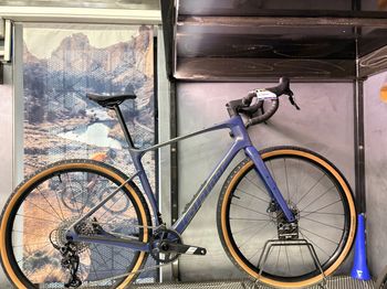 Giant, Revolt Advanced 1 2026