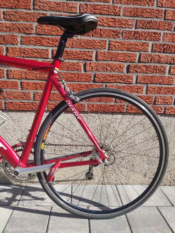 Used Giant Giant OCR Alu Rennrad 2015 Road & Gravel, Red — image 3 of 15