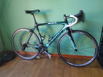 Used Bianchi Sempre Pro Ultegra 2013 2013 Road & Gravel