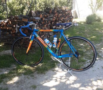Used Pica Pica Cavalo-Marino 2002 Road & Gravel, Orange — image 2 of 4