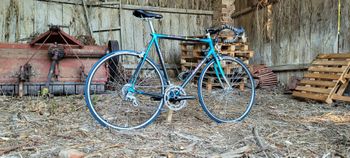 Giant, Cadex Campagnolo Veloce