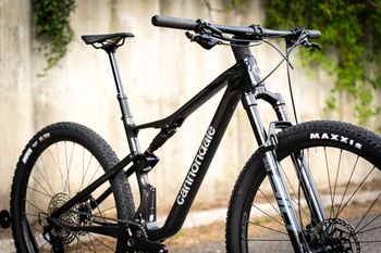 Used Cannondale Scalpel 4 2025 2025 Mountainbike, Black, 29 — image 3 of 12
