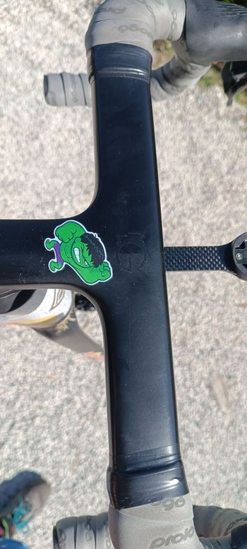 Used Megamo raise Megamo Raise 2025 Frameset 2025 Road & Gravel — image 2 of 5