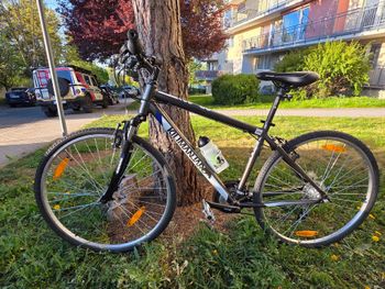 Kilimanjaro, Kilimanjaro Custom Shimano Altus