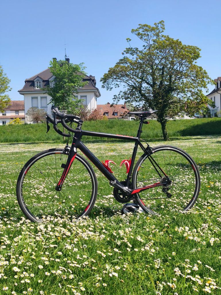 Used Focus Cayo 7.0 2017 Road & Gravel, Black — image 1 of 3
