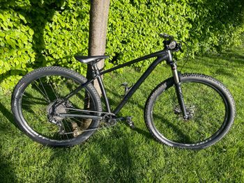 Specialized, Rockhopper Comp 1X 2020