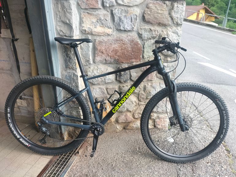 Used Cannondale Trail Two 2022 Mountainbike, Light Gray — image 1 of 5