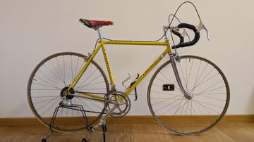 Used Pinarello Treviso 1980 Road & Gravel