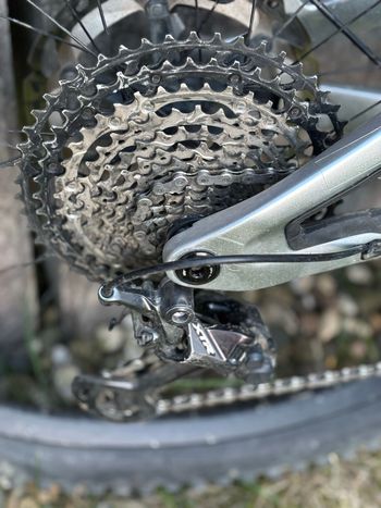 Used Pivot Firebird Shimano XTR 2024 Mountainbike, Light Gray — image 6 of 9