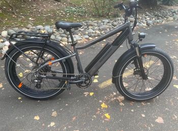 Rad Power Bikes, Rad Power Bikes Custom