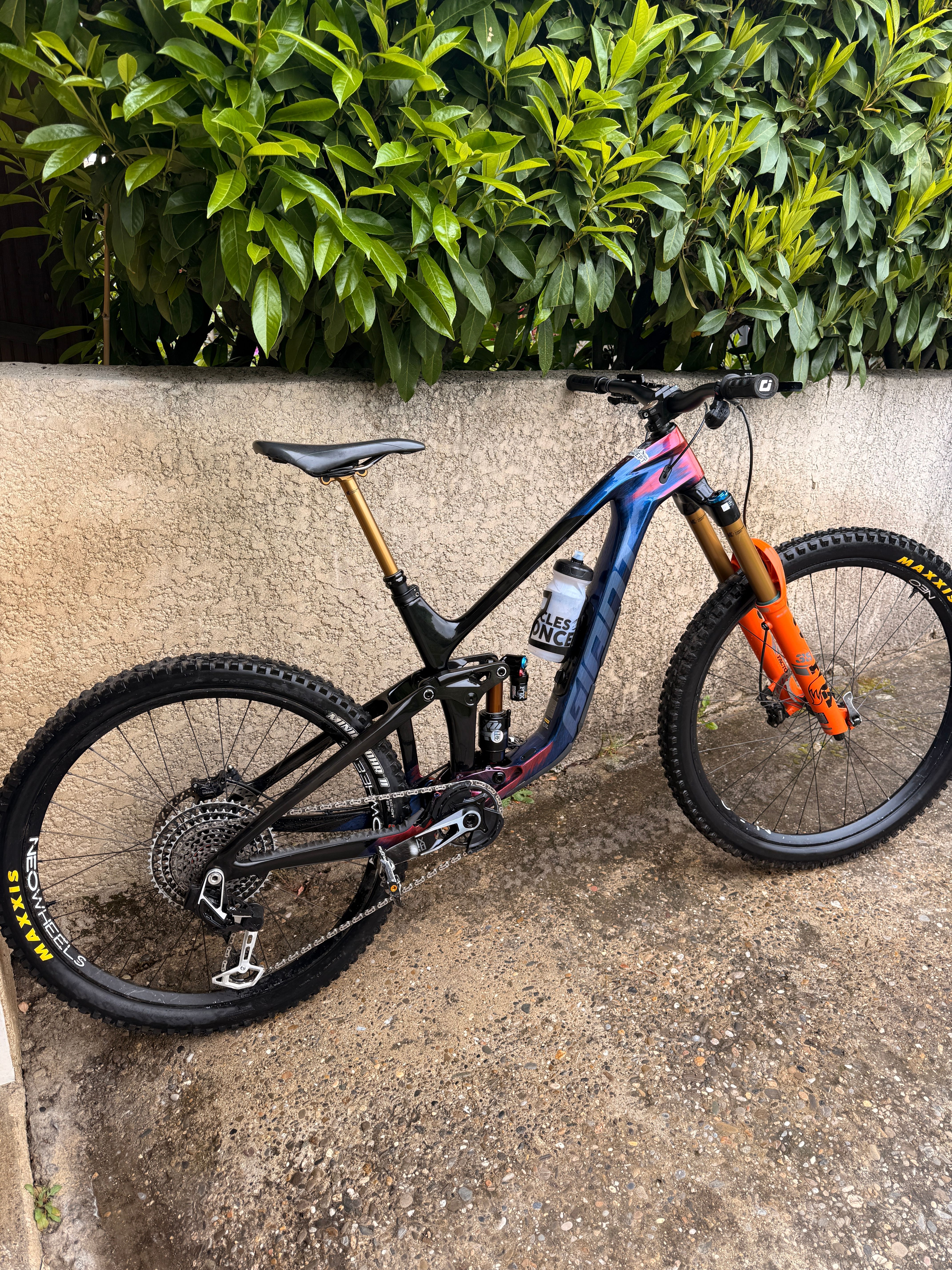 Giant Reign Advanced Frameset 2025 | buycycle