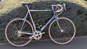 Francesco Moser, Leader AX