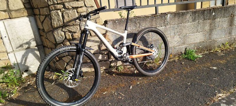 Specialized Enduro Carbone 2020 Mountainbike usato, Bianco — immagine 3 di 3