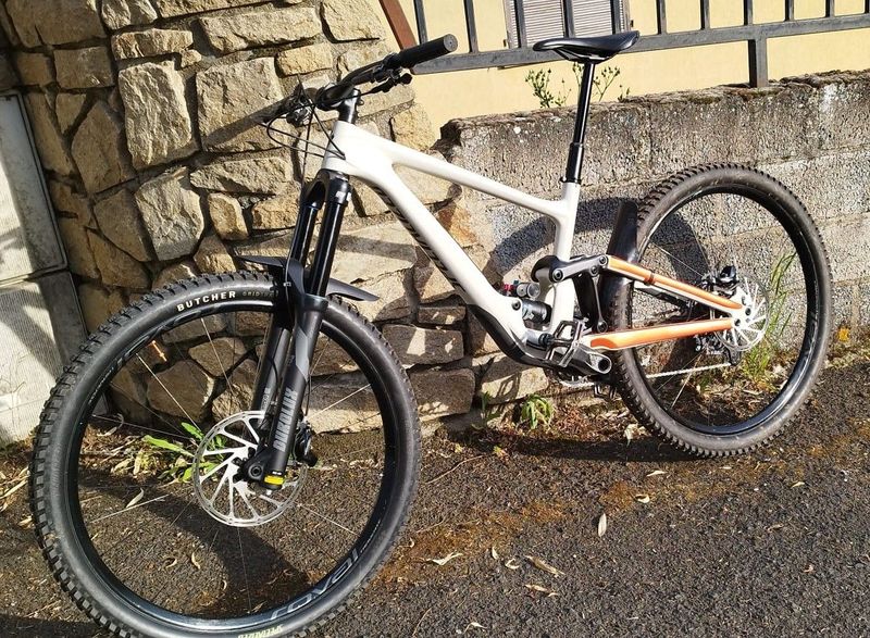 Specialized Enduro Carbone 2020 Mountainbike usato, Bianco — immagine 1 di 3