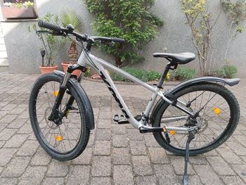 Kona, Lana'i 2020