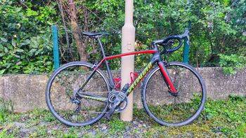 Used Specialized Specialized Tarmac Expert 2017 Road & Gravel, Black — image 1 of 4