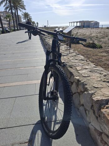 Used Orbea ALMA M50 EAGLE 2021 2021 Mountainbike, Black, 29 — image 3 of 4