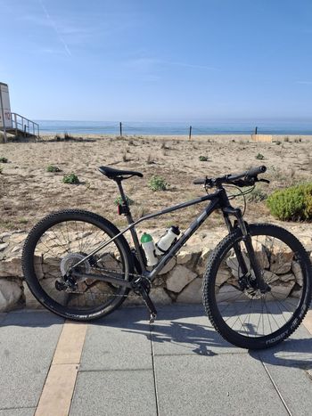 Used Orbea ALMA M50 EAGLE 2021 2021 Mountainbike, Black, 29 — image 1 of 4