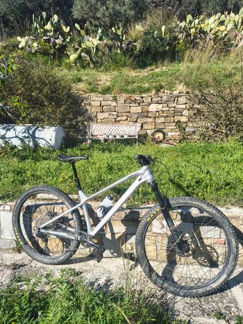 Cannondale, Habit HT 1 2024
