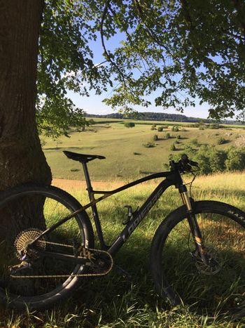 Lapierre, PRORACE SAT 929 Ultimate 2019
