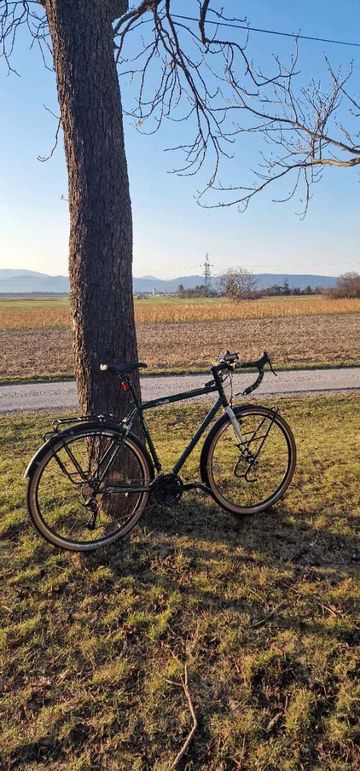 Used Cinelli HOBOOTLEG - MICROSHIFT 2024 2024 Road & Gravel, Green — image 3 of 10
