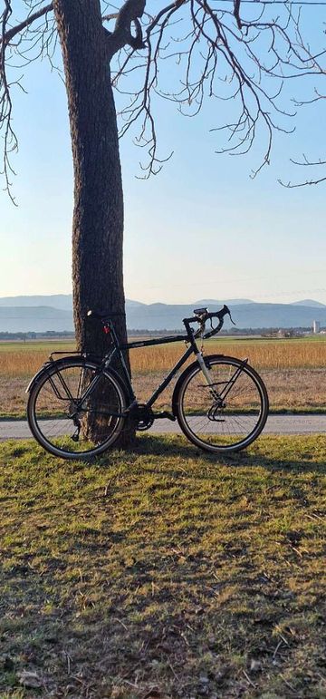 Used Cinelli HOBOOTLEG - MICROSHIFT 2024 2024 Road & Gravel, Green — image 4 of 10